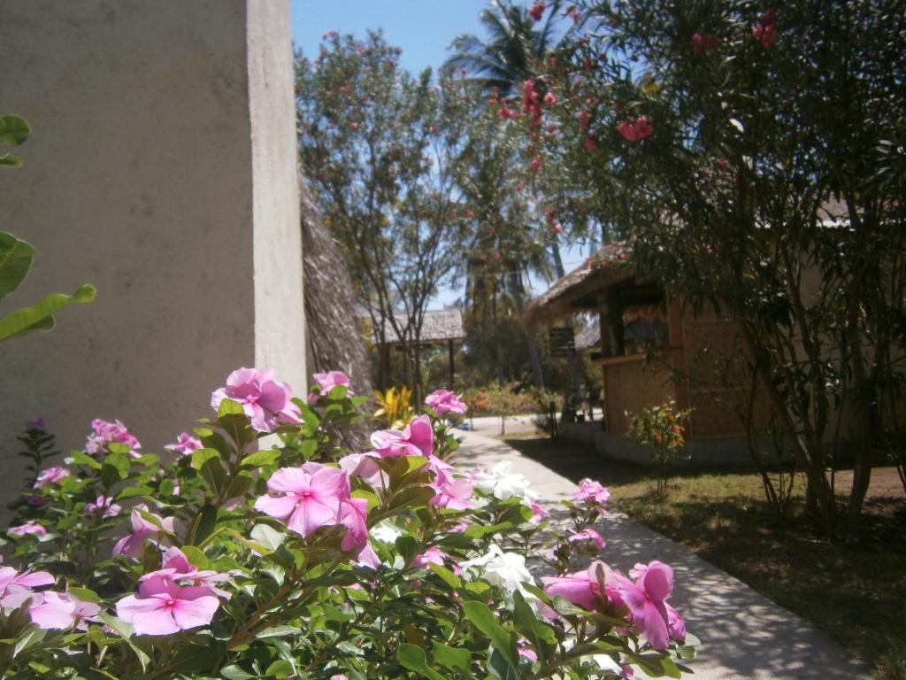 Gili Garden Bungalow Gili Meno Luaran gambar